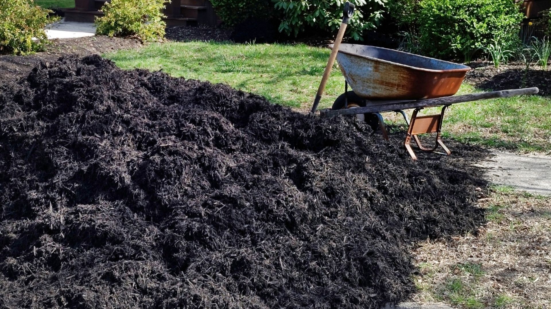 Black mulch installation for landscape beds in Houston TX by Leatherwood Lawn Specialists