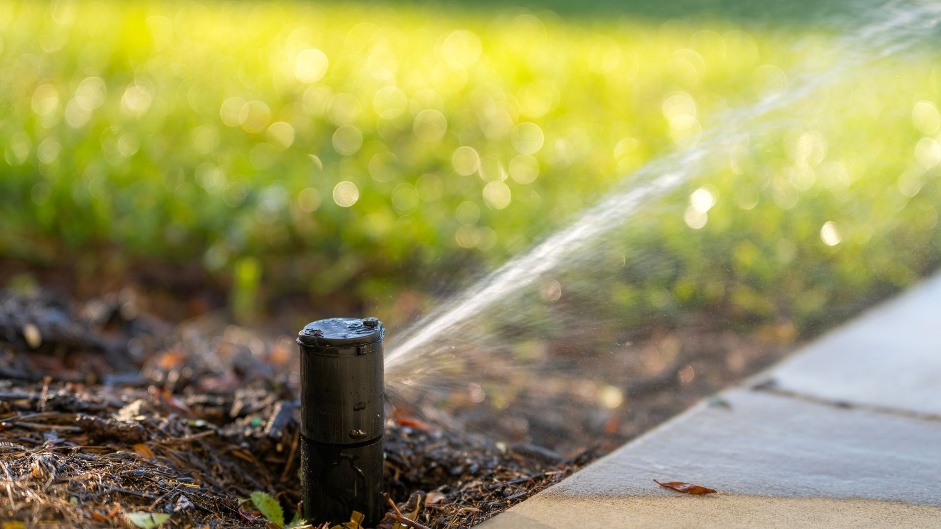 Sprinkler irrigation head watering grass in Houston TX by Leatherwood Lawn Specialists