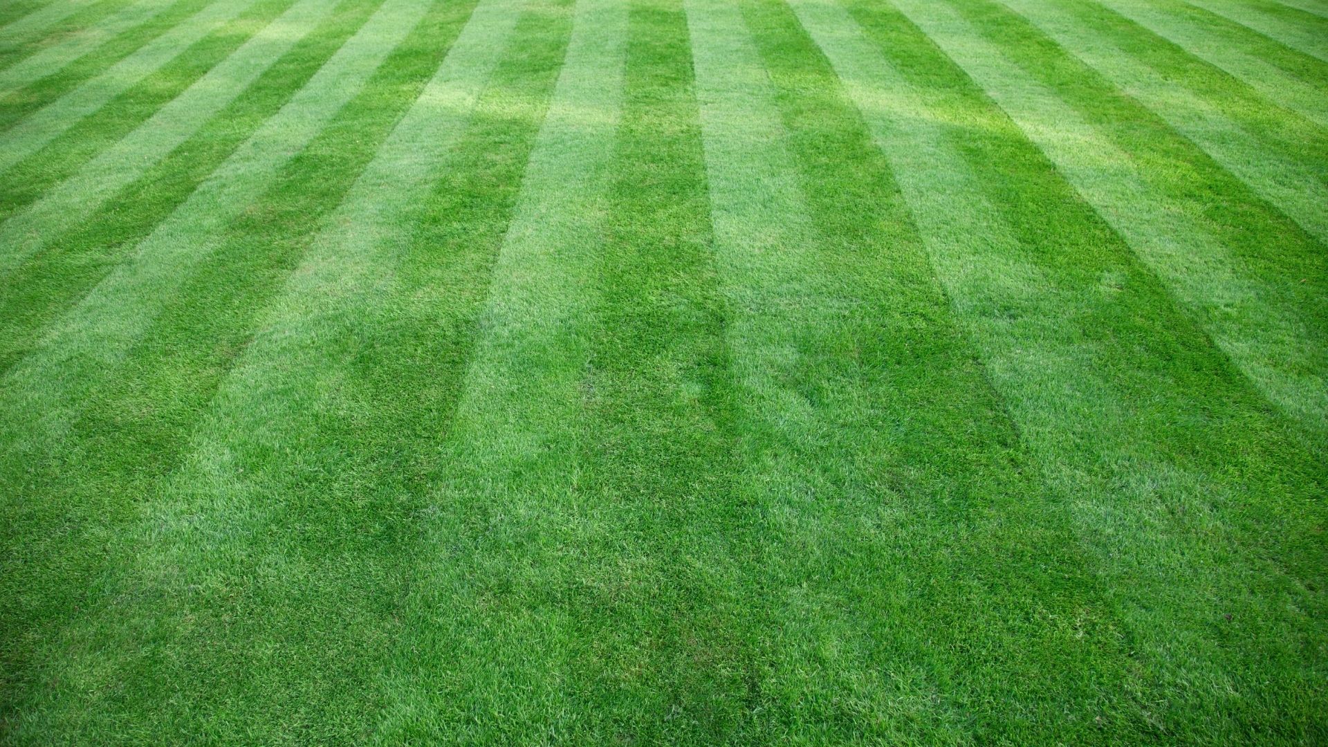 Striped lawn mowing and grass cutting results in Houston TX by Leatherwood Lawn Specialists