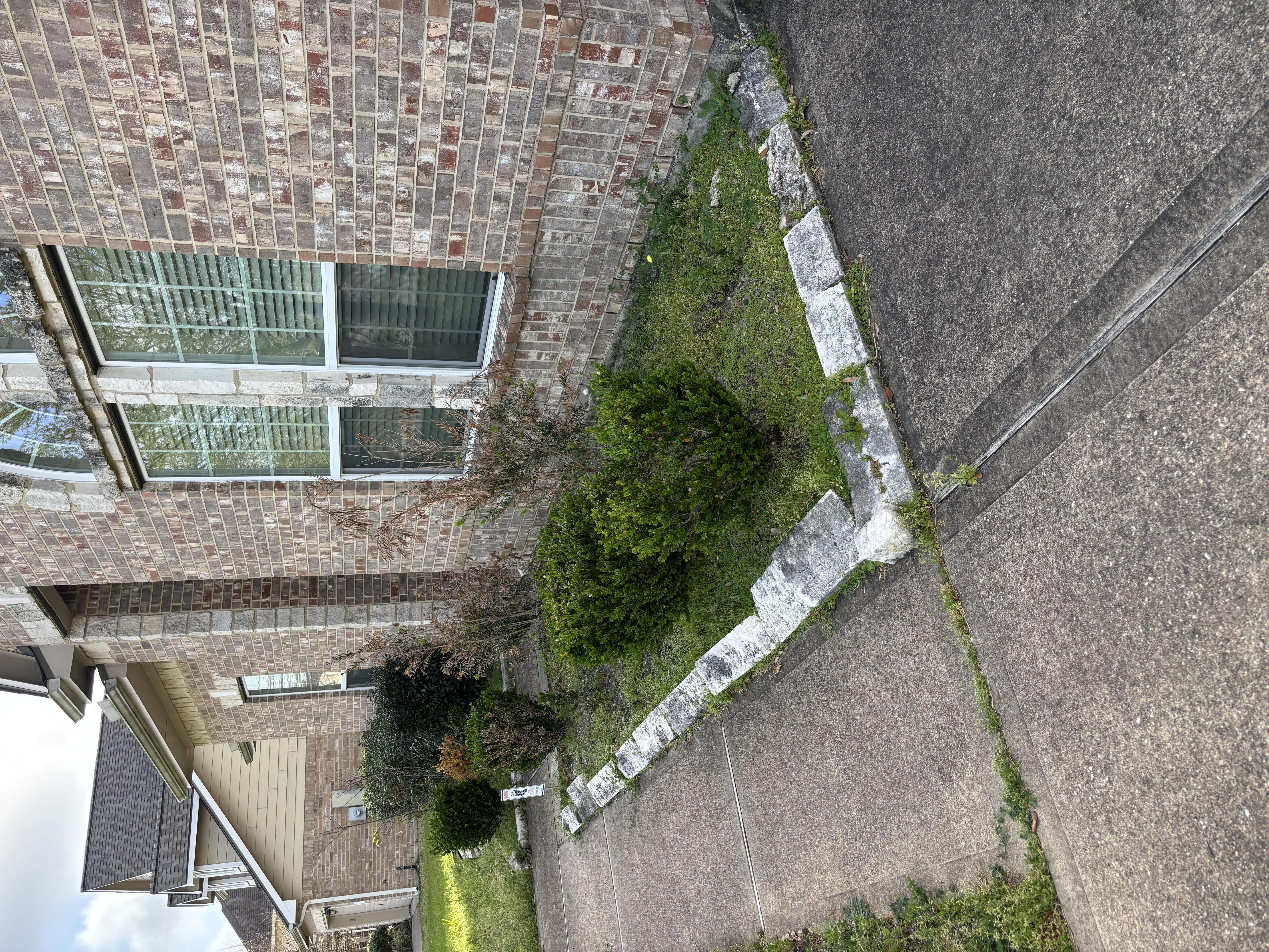Overgrown landscape bed before weed control service in Houston TX by Leatherwood Lawn Specialists