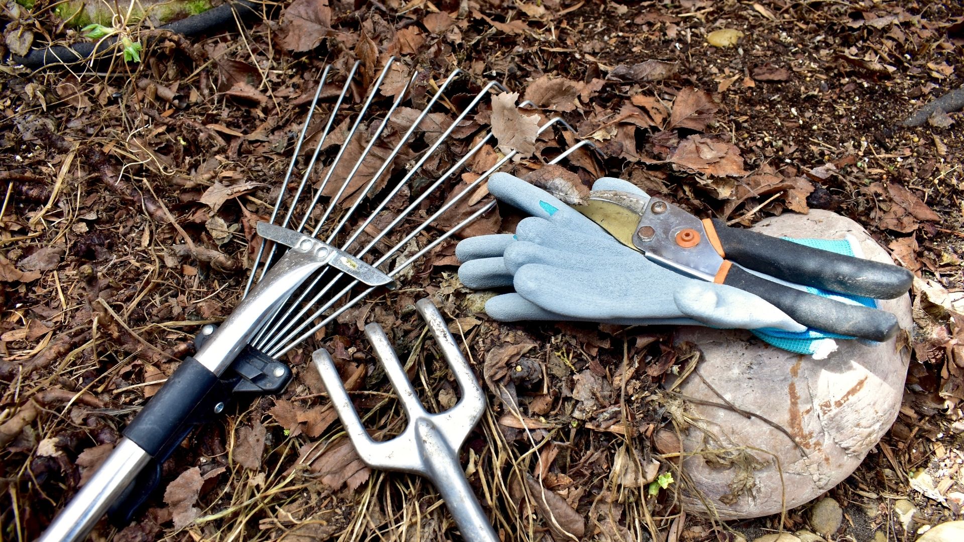 Yard cleanup tools for lawn maintenance in Houston TX by Leatherwood Lawn Specialists | commercial landscaping, lawn care, lawn maintenance, drainage, concrete, outdoor solutions near Houston TX Yard cleanup tools for lawn maintenance in Houston TX by Leatherwood Lawn Specialists